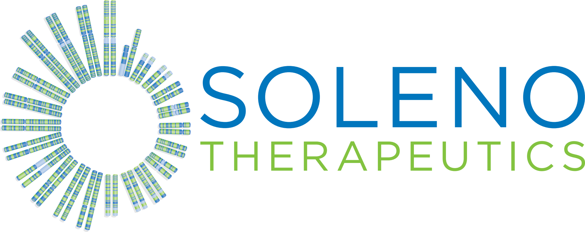 Soleno Logo